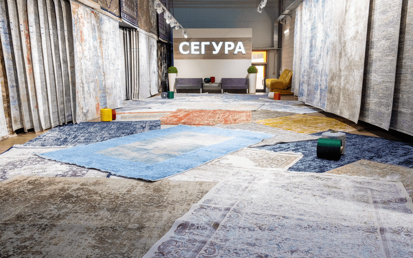 Изображение организации Сегура Центр